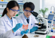 揭秘肠道微生物，生命奥秘的肠道之旅