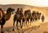丝绸之路上的骆驼之旅，重走古丝路慢旅行记