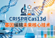 基因编辑新纪元，CRISPR-Cas13d引领可逆时代革新