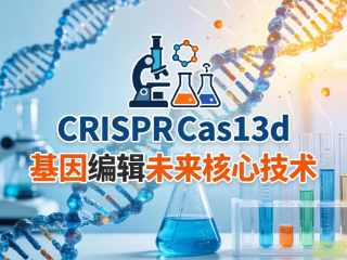 基因编辑新纪元，CRISPR-Cas13d引领可逆时代革新