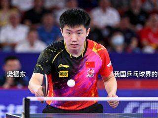 樊振东退赛伦敦世乒赛，责任与担当的抉择